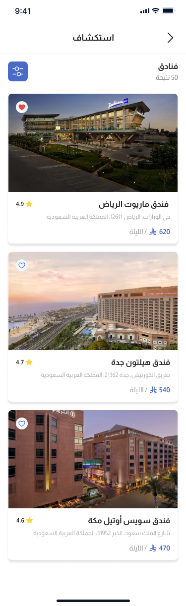 صورة المشروع